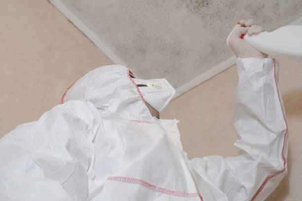 Best Industrial Mold Remediation in Draper, UT